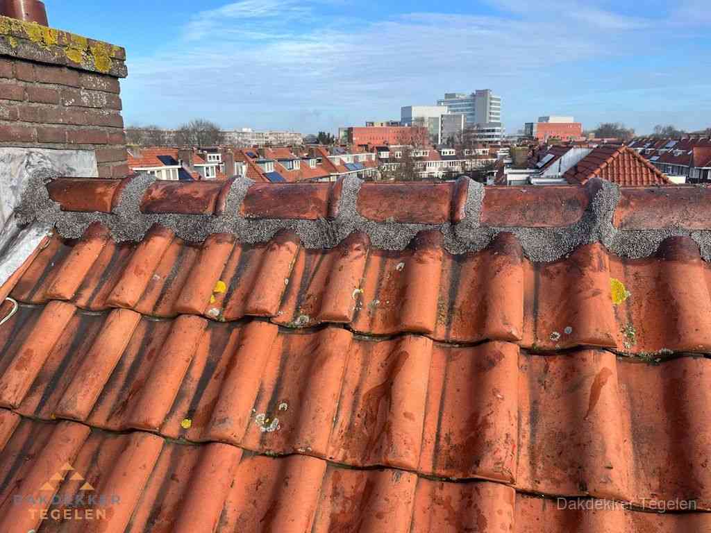 Tegelen Daken Renoveren Tegelen Daken Renoveren